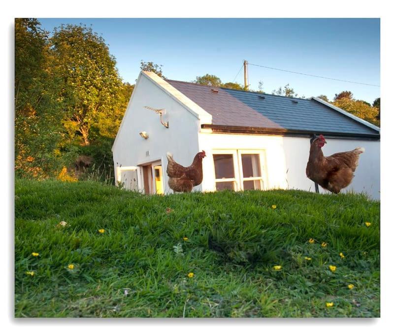 Cosy Self Contained Cottage With Stunning Views Килало Екстериор снимка